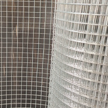 galvanized welded wire mesh