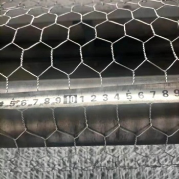 hexagonal wire netting