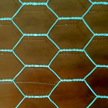 Hexagonal wire netting